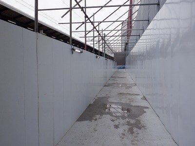 ���ꉷ��w�摜