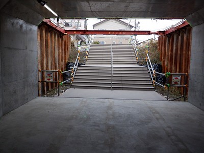 ���ꉷ��w�摜