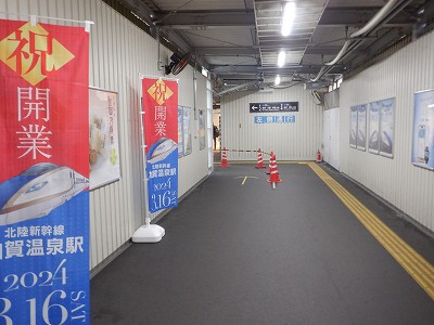 ���ꉷ��w�摜