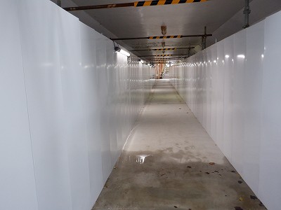 ���ꉷ��w�摜