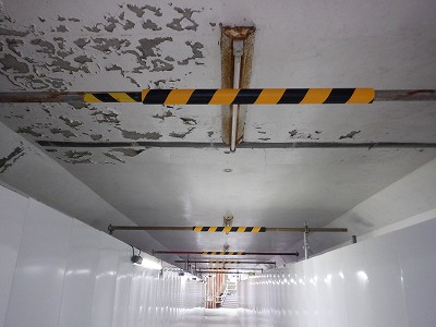 ���ꉷ��w�摜