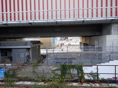 ���ꉷ��w�摜