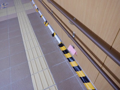 ���ꉷ��w�摜