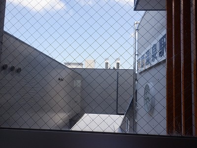 ��������w�摜