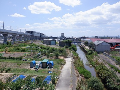 ��������w�摜