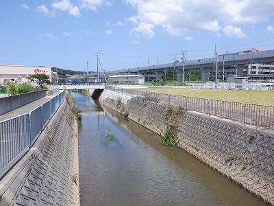 ��������w�摜