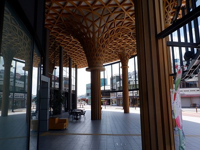 ��������w�摜