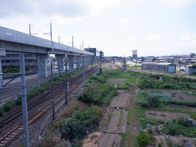 ��������w�摜