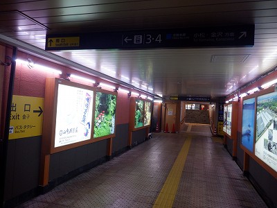 ���ꉷ��w�摜