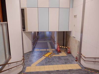 ���ꉷ��w�摜