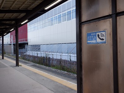 ���ꉷ��w�摜