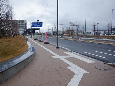 ���ꉷ��w�摜