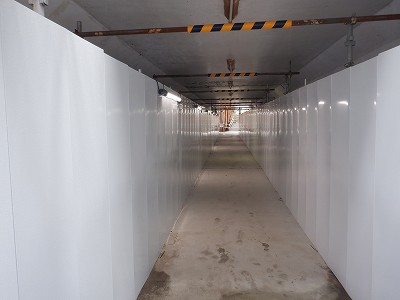 ���ꉷ��w�摜