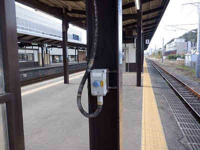 ���ꉷ��w�摜