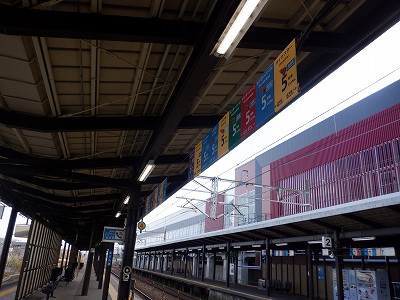 ���ꉷ��w�摜