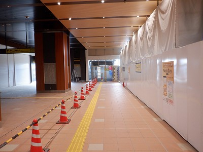 ���ꉷ��w�摜