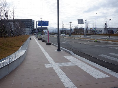 ���ꉷ��w�摜