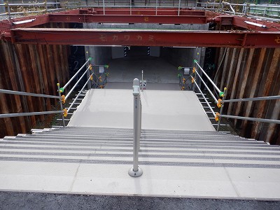 ���ꉷ��w�摜