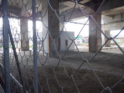 ���ꉷ��w�摜