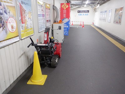 ���ꉷ��w�摜