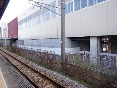 ���ꉷ��w�摜