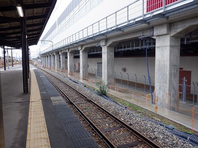 ���ꉷ��w�摜