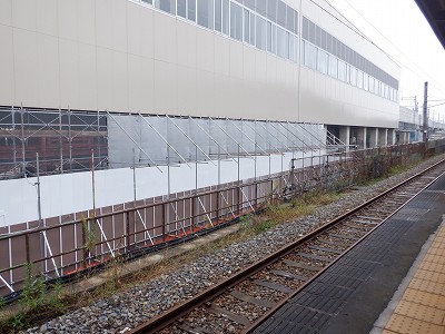 ���ꉷ��w�摜