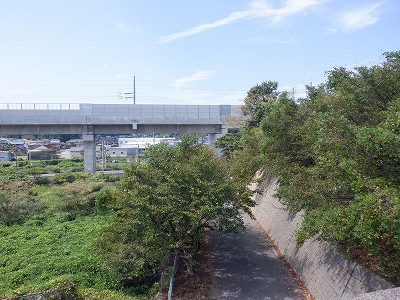 ��������w�摜