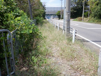 ��������w�摜