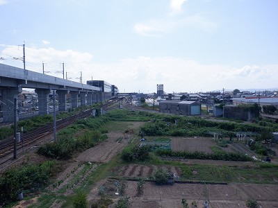 ��������w�摜