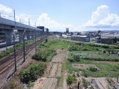 ��������w�摜