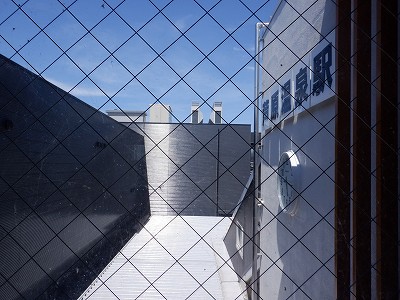 ��������w�摜