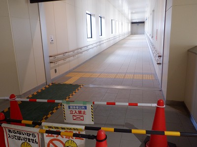 ��������w�摜