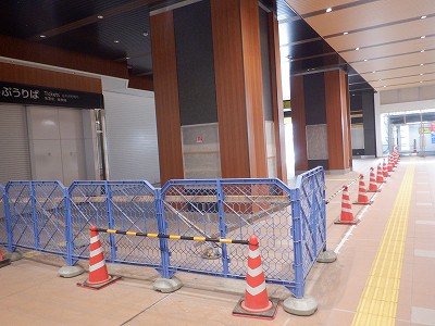 ���ꉷ��w�摜