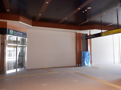 ���ꉷ��w�摜