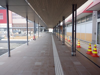 ���ꉷ��w�摜