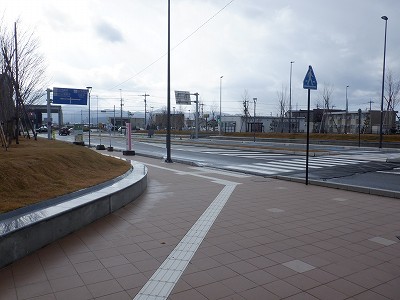 ���ꉷ��w�摜