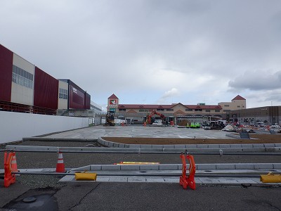 ���ꉷ��w�摜