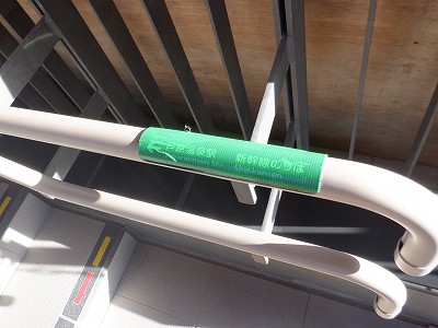 ��������w�摜