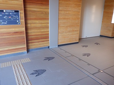 ��������w�摜