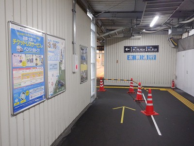 ���ꉷ��w�摜