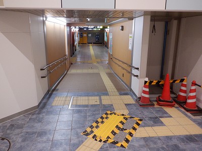 ���ꉷ��w�摜