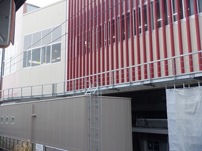 ���ꉷ��w�摜