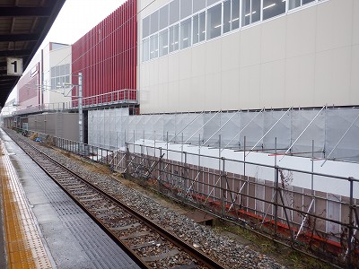 ���ꉷ��w�摜