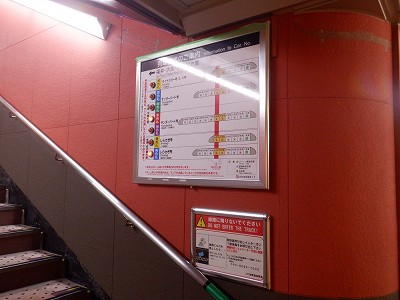 ���ꉷ��w�摜