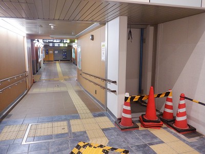 ���ꉷ��w�摜