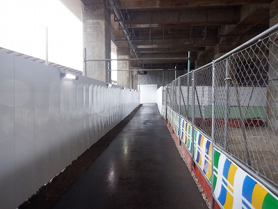 ���ꉷ��w�摜