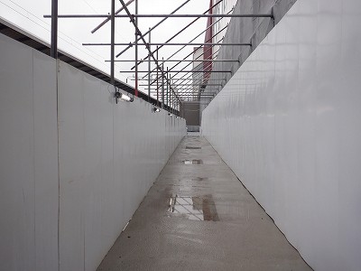 ���ꉷ��w�摜