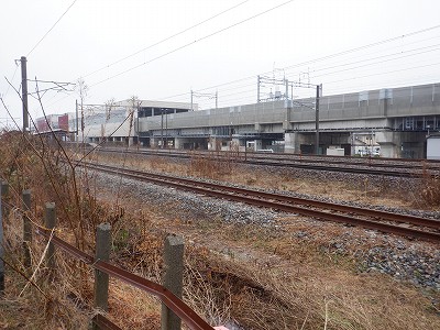 ���ꉷ��w�摜