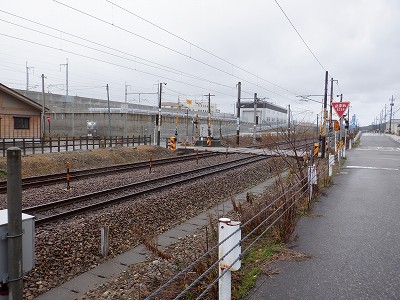 ���ꉷ��w�摜